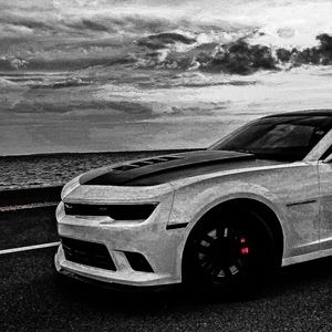 Meet your Posher, Tyler